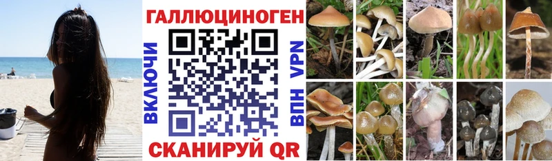 Псилоцибиновые грибы MAGIC MUSHROOMS закладка Суворов